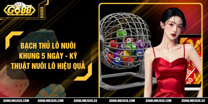 Bạch Thủ Lô Nuôi Khung 5 Ngày - Kỹ Thuật Nuôi Lô Hiệu Quả