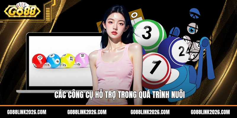 Các công cụ hỗ trợ trong quá trình nuôi