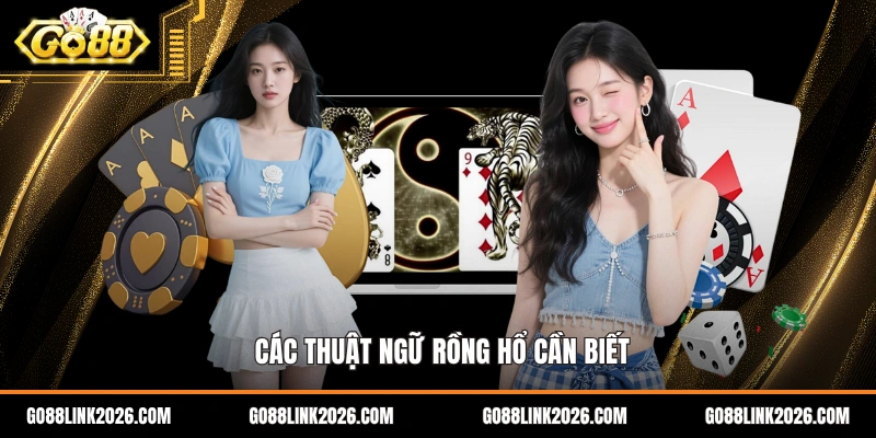 Các thuật ngữ Rồng Hổ cần biết