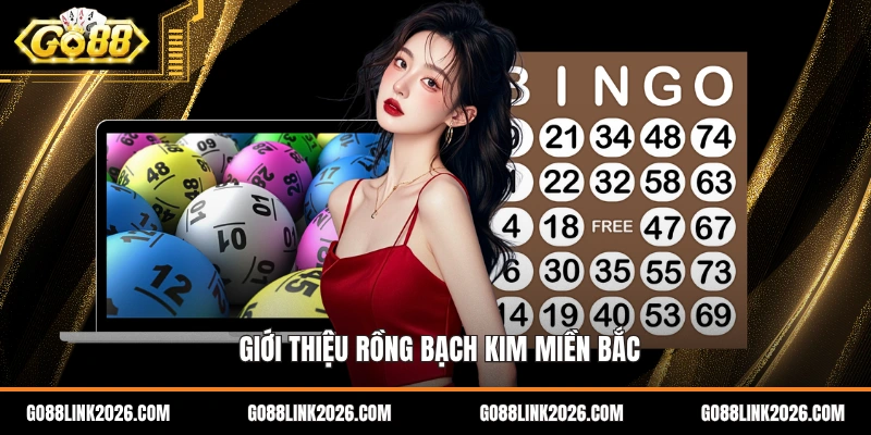 Giới thiệu rồng bạch kim miền Bắc