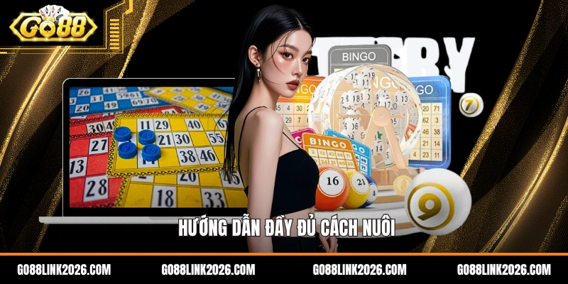 Hướng dẫn đầy đủ cách nuôi