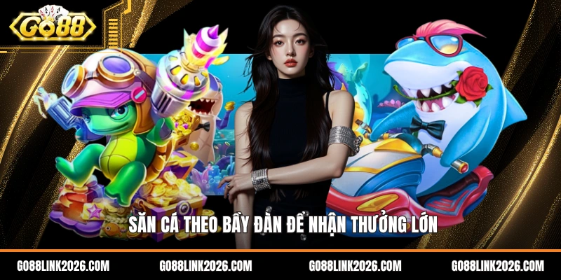 Săn cá theo bầy đàn để nhận thưởng lớn