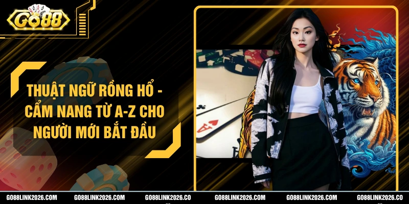 Thuật Ngữ Rồng Hổ - Cẩm Nang Từ A-Z Cho Người Mới Bắt Đầu